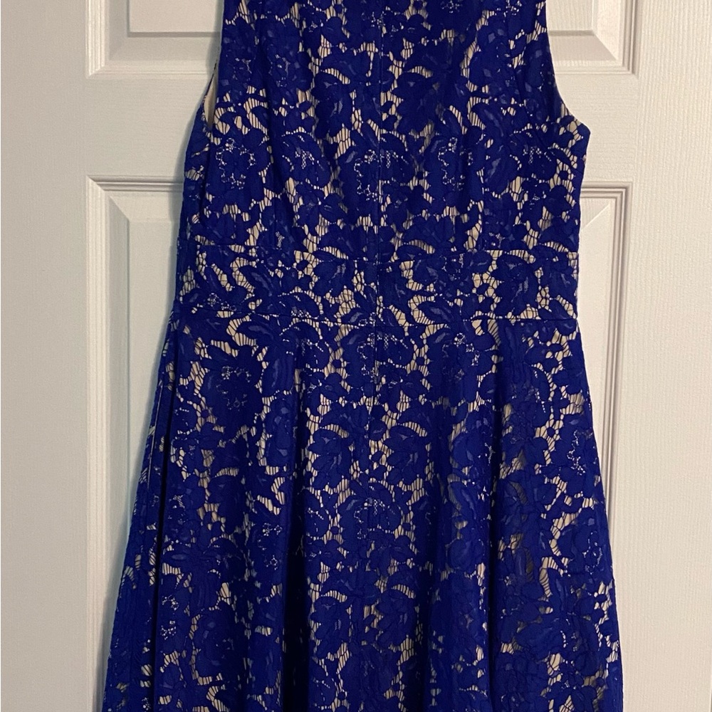 Eliza J Cobalt Blue Lace Dress - Picture 4 of 4